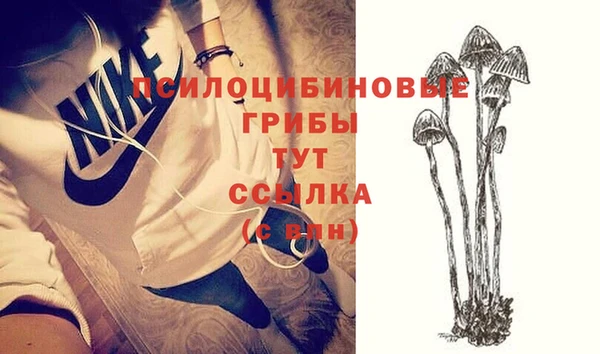 apvp Абдулино