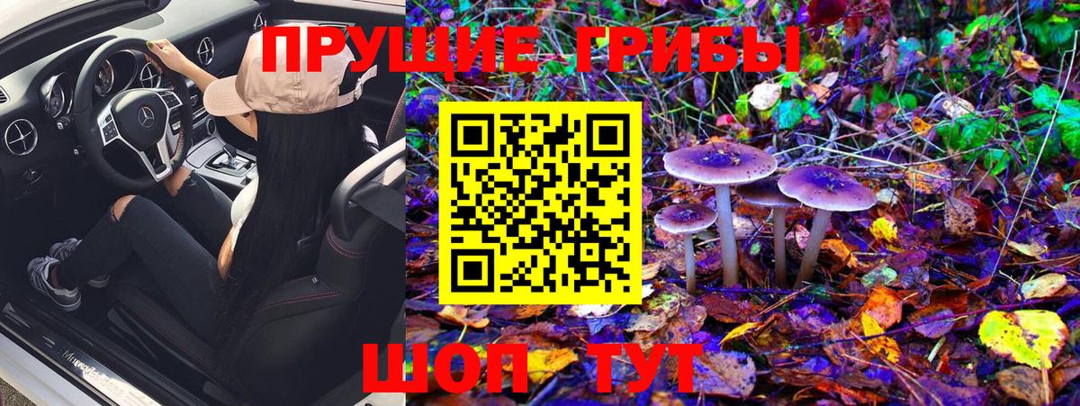 Галлюциногенные грибы Cubensis Стерлитамак