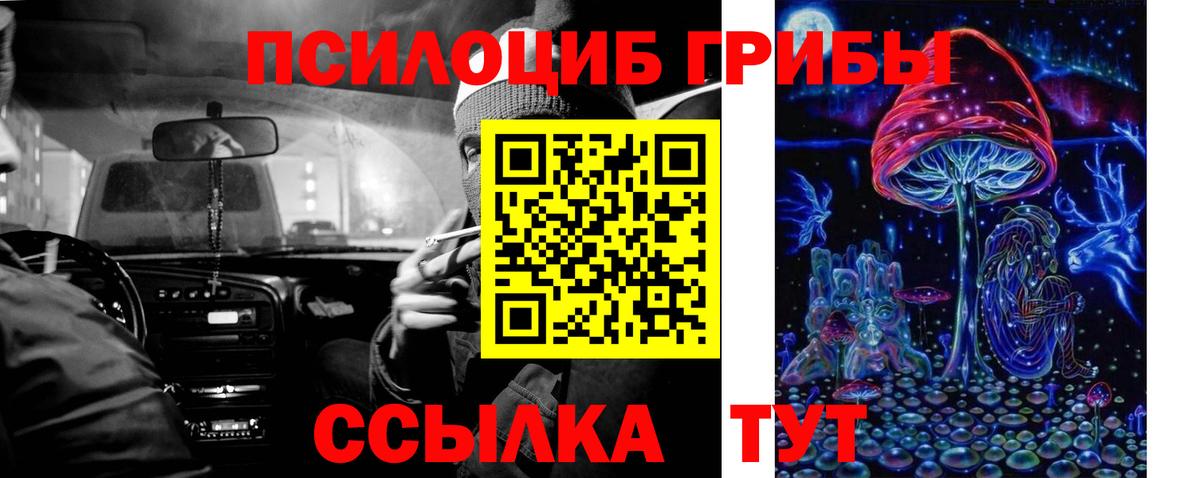 Стерлитамак  Псилоцибиновые грибы Psilocybine cubensis  Вход с VPN  Псилоцибиновые грибы MAGIC MUSHROOMS 