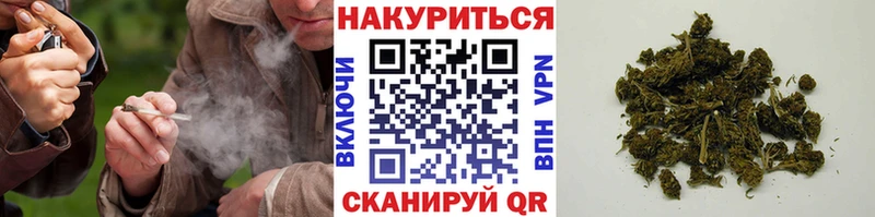 Шишки марихуана OG Kush  мега ссылки  Стерлитамак  наркошоп 